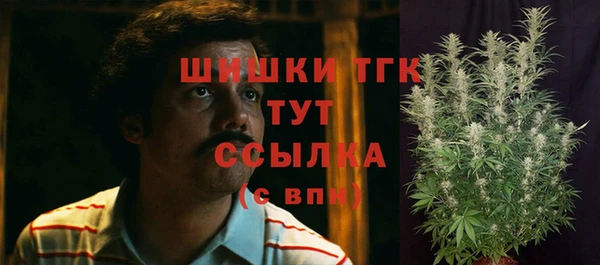 дурь Магас