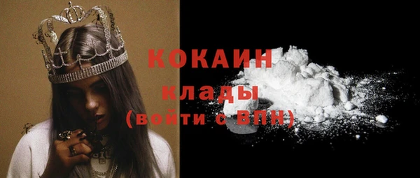 дурь Магас
