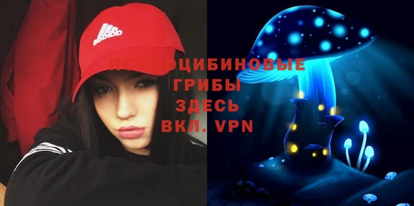 a pvp Магадан