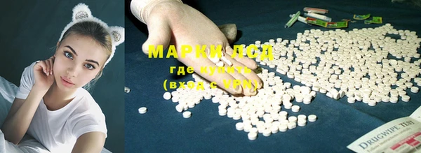 мяу мяу мука Майский