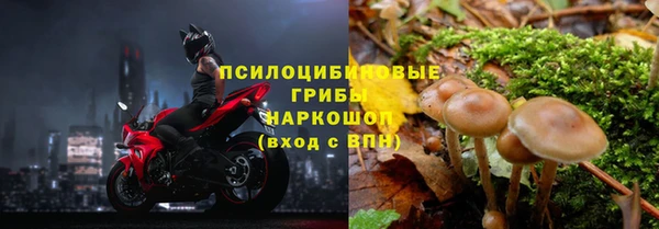 дурь Магас