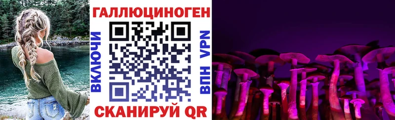 Купить где  Красавино  Галлюциногенные грибы мицелий 